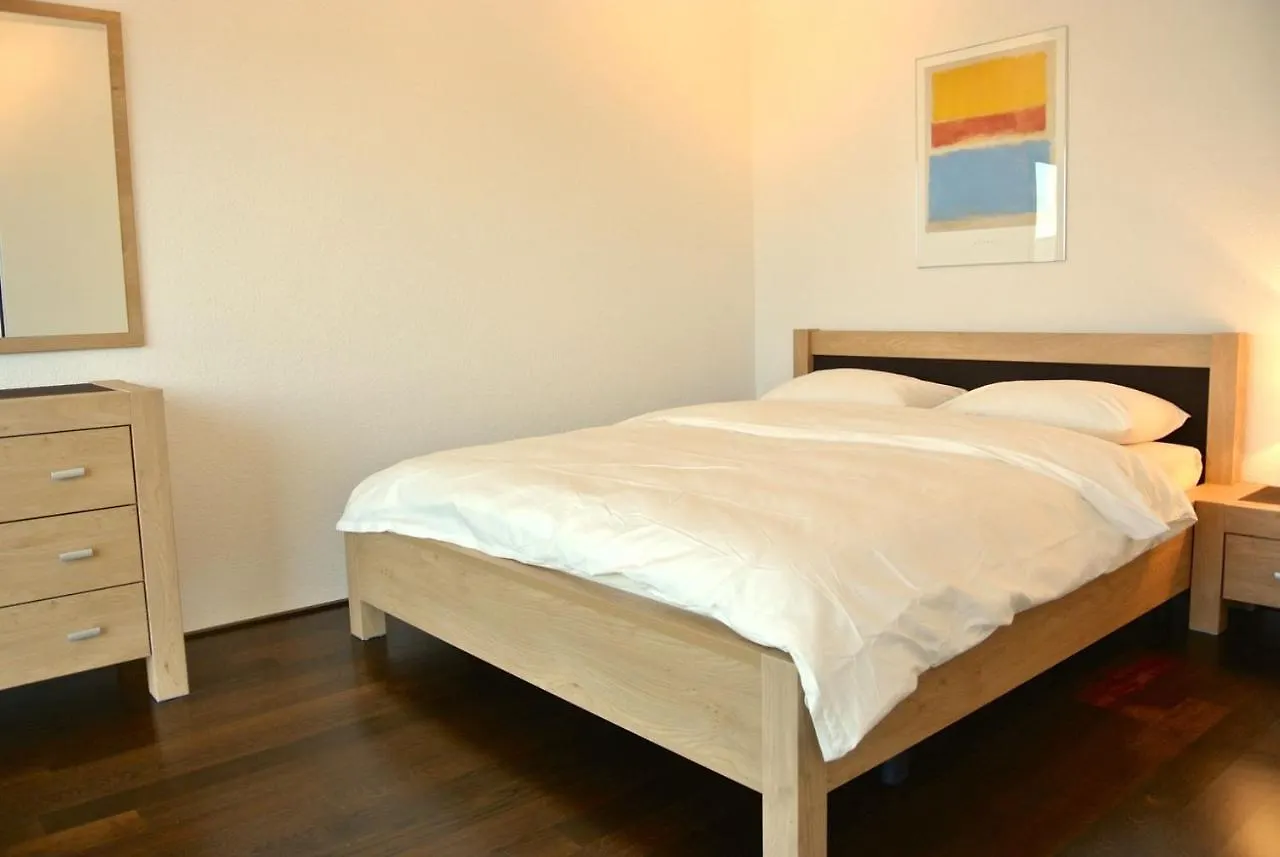 Nest - Steinentorberg 18 Appartamento Basilea
