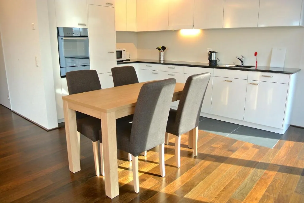 Nest - Steinentorberg 18 Appartamento Basilea Svizzera