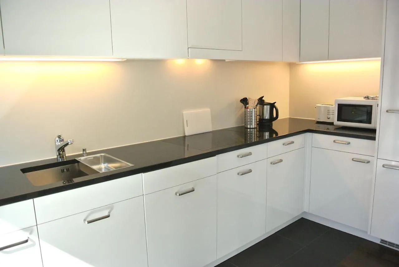 Nest - Steinentorberg 18 Appartamento Basilea Svizzera