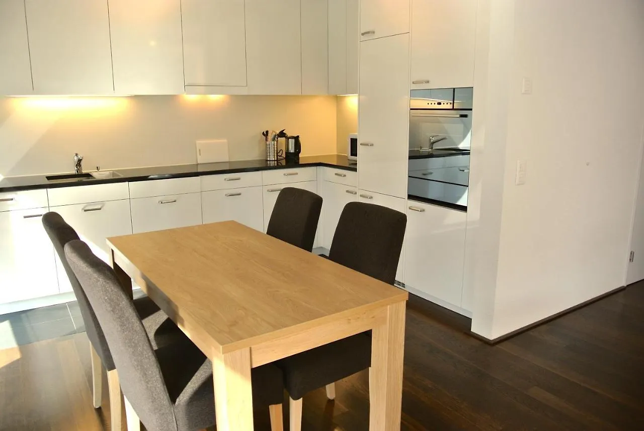 Nest - Steinentorberg 18 Appartamento Basilea Svizzera